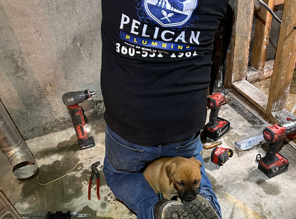 Port Orchard 24 Hour Emergency Plumbers
